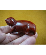 (Y-SEAL-706) SEAL carving RED jasper gem FIGURINE Sea Lion seals pup gem... - $23.81 CAD
