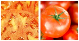 300mg Packet Tomato Seeds - Slicing - Hamson - £15.00 GBP