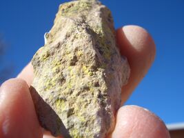 CARNOTITE URANIUM ROCK: JURASSIC CANYON 0.8 OZ., 42,500 CPM   $24.00  +$... - $24.00