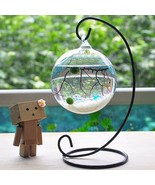 DIY Hydroponic Plant Flower Suspended Glass Ball/Vase with Iron Rack Gar... - $19.90