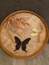 Vintage Pressed Butterfly Bamboo Tray - £10.28 GBP