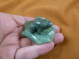 (Y-FRO-LP-708) little Green FROG frogs LILY PAD stone gemstone CARVING f... - $17.53