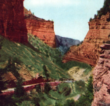 The Amphitheatre Williams Canon Colorado Canyon Postcard Vintage - £11.02 GBP