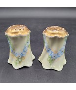 Antique c.1890&#39;s Rosenthal Salt Pepper Shakers RC Versailles Bavaria Flo... - $19.27 CAD