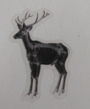 Elk X-Ray Transparent Sticker 2.38&quot; x 1.58&quot; (S) - $1.64