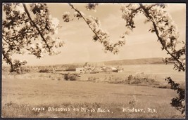 Windsor, Nova Scotia Canada RPPC - Apple Blossoms on Minas Basin Postcard - £11.03 GBP