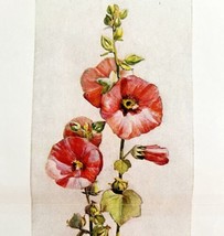 Flower Design Realism Example Art Education 1900 Victorian Print DWW2B - £15.92 GBP