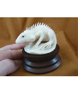 (tb-liz-12) Iguana Lizard Tagua NUT palm figurine Bali detailed iguanas - €60,05 EUR