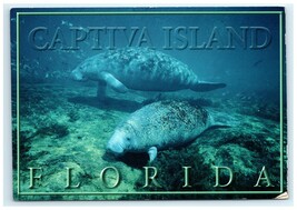 Manatees Captiva Island Florida FL Postcard - $5.95