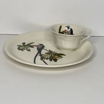 Alfred Meakin Plate Cup Snack Set Audubon Society Birds Fork Tailed Flyc... - $40.74