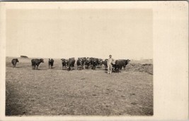 Farm Ranch Scene RPPC Man with Cattle Real Photo Postcard V12 - $9.95