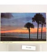 Tropical Florida Sunset 1970s 4x6 Deckle Edge Postcard 1977 FL PC Tampa - €6,73 EUR