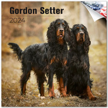 Gordon Setter Wall Calendar 2024 Animal DOG PET Lover Gift - £19.77 GBP