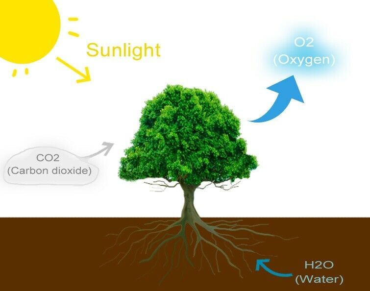 Primary image for Fight Climate Change (Do Something!) Everyday People Who Want To Save The Planet