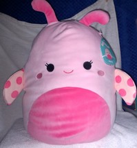 Squishmallows Marla the Pink Ladybug 14&quot; NWT So cute! - £30.45 GBP