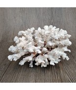 Natural White Lettuce Finger Coral Nautical Ocean Maritime Decor 8x7x4 F... - €55,88 EUR