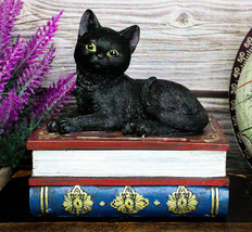 Wicca Mystical Black Cat Sitting On Book Of Spells Stack Decorative Jewelry Box - £21.34 GBP