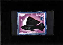 Tchotchke Stamp Art - Framed Collectible Postage Stamp - Sailfin Molly - $8.81