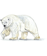 Polar Bear White Auto Boat Car Truck Window Body Glass Vinyl Decal Stick... - $132.10 MXN+
