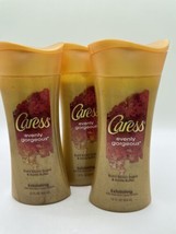 3 Caress Evenly Gorgeous Exfoliating Body Wash Burnt Brown Sugar &amp; Butter 12 oz - £45.34 GBP