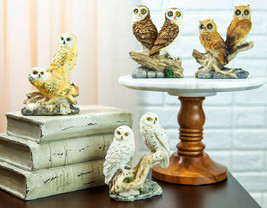 Colorful Barn Great Horned Snowy &amp; Screech Owl Perching On Branch Figurine Set - £23.17 GBP