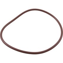 Pentair R172240 Lid to Housing O-Ring Replacement Rainbow High Capacity ... - $6.67 CAD