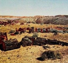 1927 Petrified Forest Southwest Plate Print Arizona Along Santa Fe Route DWPP13 - $39.99