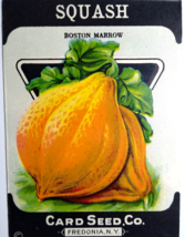 Squash Boston Marrow Card Seed Co EMPTY Pack 1920&#39;s Fredonia NY Super Gr... - $11.25