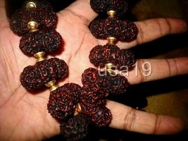 Trijuti Tribhagi Rudraksha Mala Collector Premuim Quality Rosary Mala - £3,775.08 GBP
