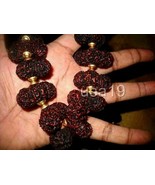 Trijuti Tribhagi Rudraksha Mala Collector Premuim Quality Rosary Mala - $4,749.05