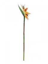 EUROPALMS Paradiesvogel-Blume, Artifical Plant, Orange, 37 3/8in - $8.56