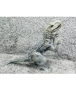 Jurassic World Indominus Rex Lights and Sound Dinosaur Toy Gray Hasbro  - £29.81 GBP