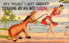 Vintage Postcard Lady Dragging The Pony Into Florida Beach And Bodies Hot Ladies - £16.99 GBP