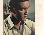 Elvis Presley Wallet Calendar Vintage RCA Victor Elvis In White Shirt - £3.10 GBP
