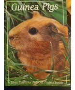 Guinea Pigs by Carolyn Ruf 1984   Trade Paperback Posters - €4,34 EUR