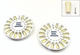 Dental Typodont Ivorine Upper and Lower Replacement Teeth for Model 200 - $19.99