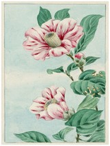 1546 Pink Flowers Asian vintage Poster.Floral painting Decorative Art. - $16.20+