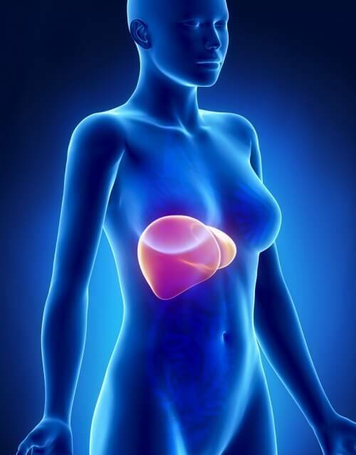 liver detox diet - LIVER DETOX & CLEANSE - milk thistle detox - 1 Bottle 60 Caps Item image 8