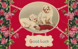 Good Luck Two White Dogs Puppies Postcard Roses - £2.39 GBP