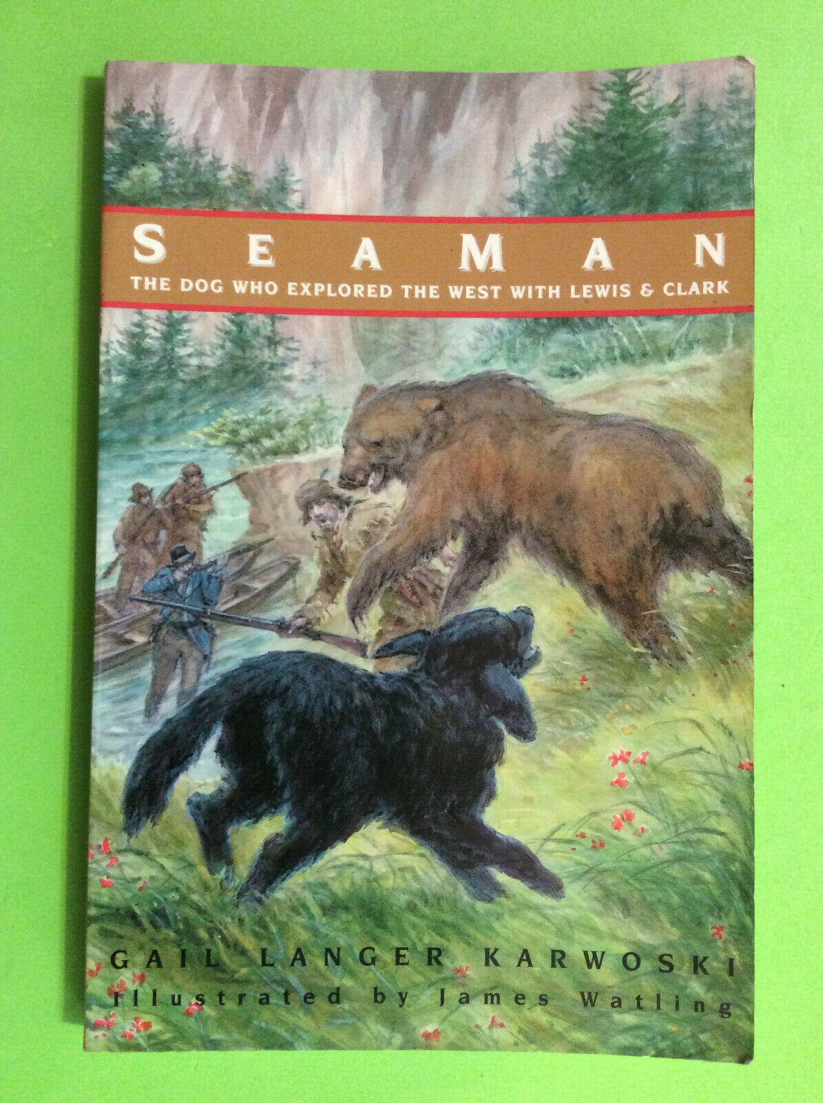 Full-size item image