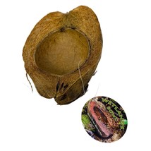 Wetlands Bowl for Reptile Terrarium Perfect Coconut Watering Hole - £6.97 GBP