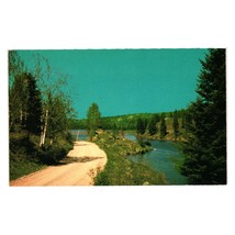Vintage Postcard Bear Trail Lodge Motel Algonquin Park River Road Ontario Travel - £5.31 GBP