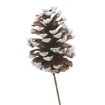 Darice Christmas Floral Pinecone Picks Snowtip  - £12.76 GBP