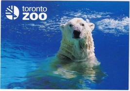 Ontario Postcard Toronto Zoo Polar Bear  - £2.32 GBP