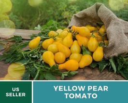 50 Tomato Yellow Pear Seeds Lycopersicon esculentum Vegetable Pear shaped fruits - £12.48 GBP