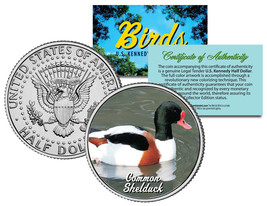 COMMON SHELDUCK * Collectible Birds * JFK Kennedy Half Dollar Colorized ... - $12.16