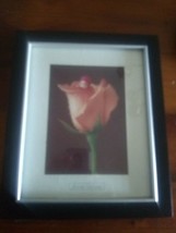Pair Of 1996 Ann Geddes Framed Prints Baby In Rose And Cabbage Babies I - £18.34 GBP