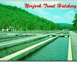 Norfolk Trout Hatchery Mountain Home Arkansas AR UNP Chrome Postcard I13 - $3.91