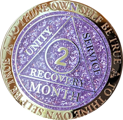 Primary image for 1 2 3 6 9 or 18 Month AA Medallion Reflex Purple Glitter Gold Plated Sobriety Ch