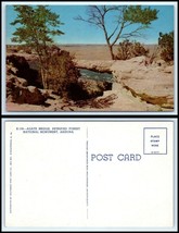 ARIZONA Postcard - Petrified Forest National Monument, Agate Bridge F46 - £2.36 GBP